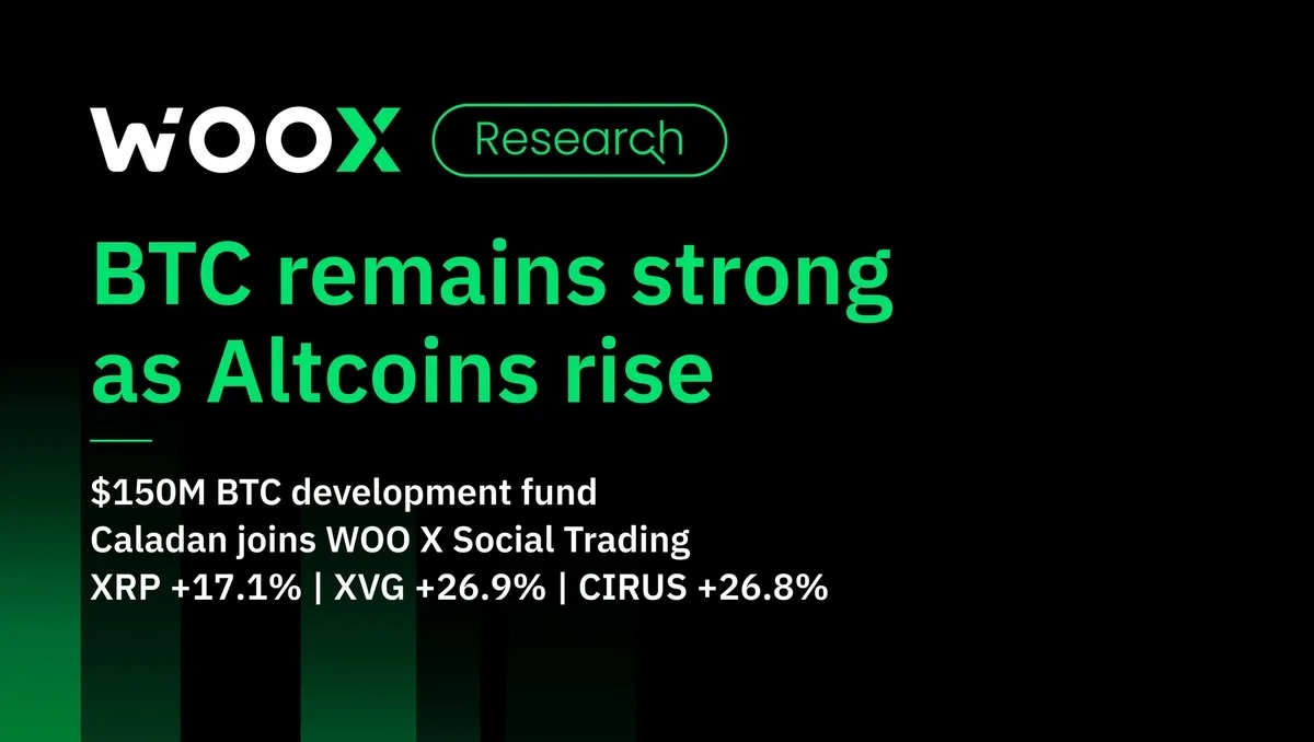 山寨幣上升的同時比特幣仍然保持强勢